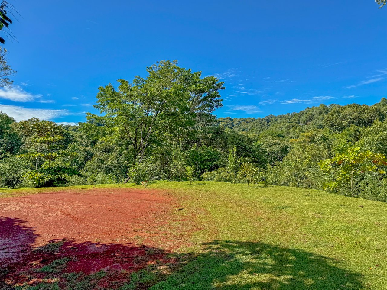 Jungle River Retreat with Airbnb & Build Space in Ojochal