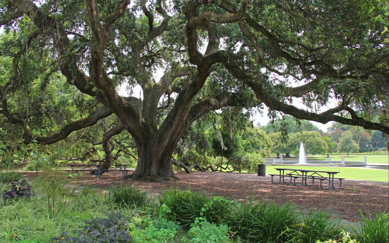 William Means Guide to Iconic Charleston Parks