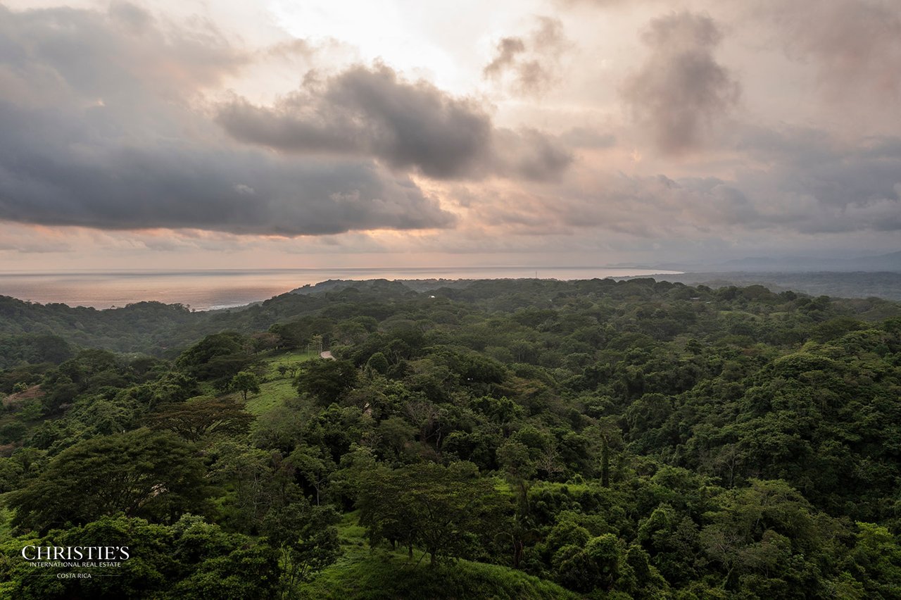 Villa Animales – Luxury Jungle Sanctuary