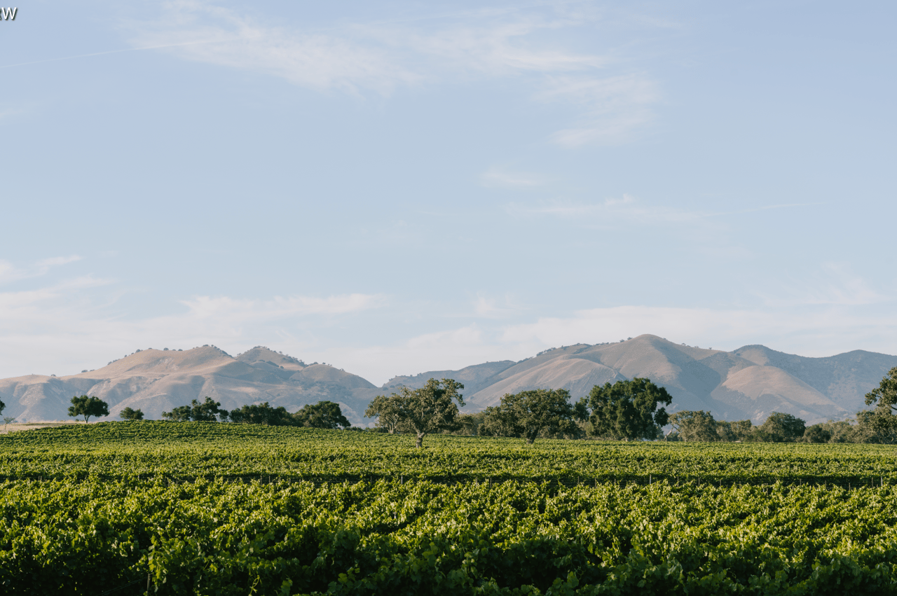 SANTA YNEZ VALLEY