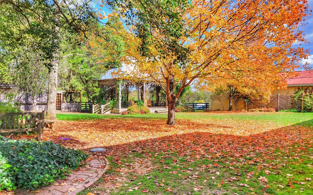 Leipers Fork