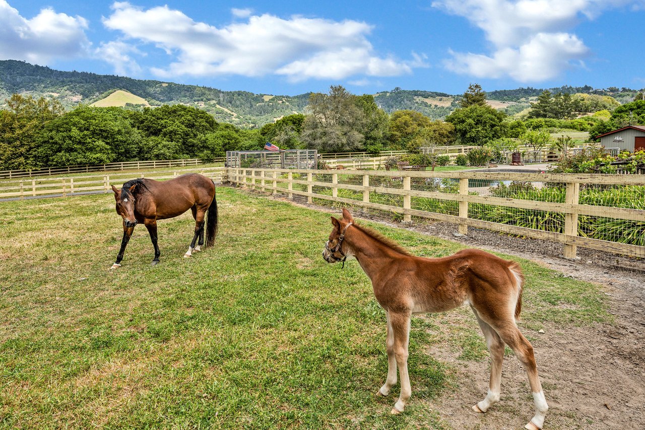 Santa Rosa Custom Equestrian Facility