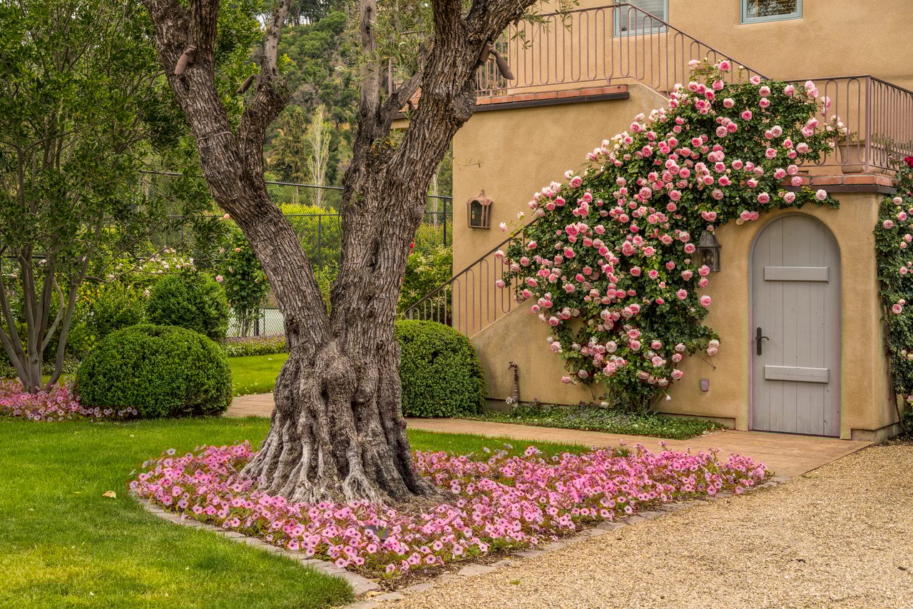 Mills Lane, St. Helena