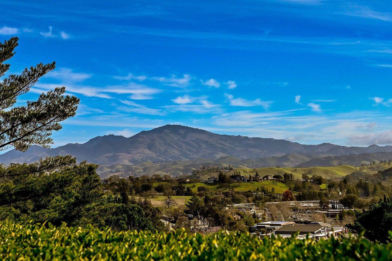 1332 Running Springs Rd. #2, Walnut Creek