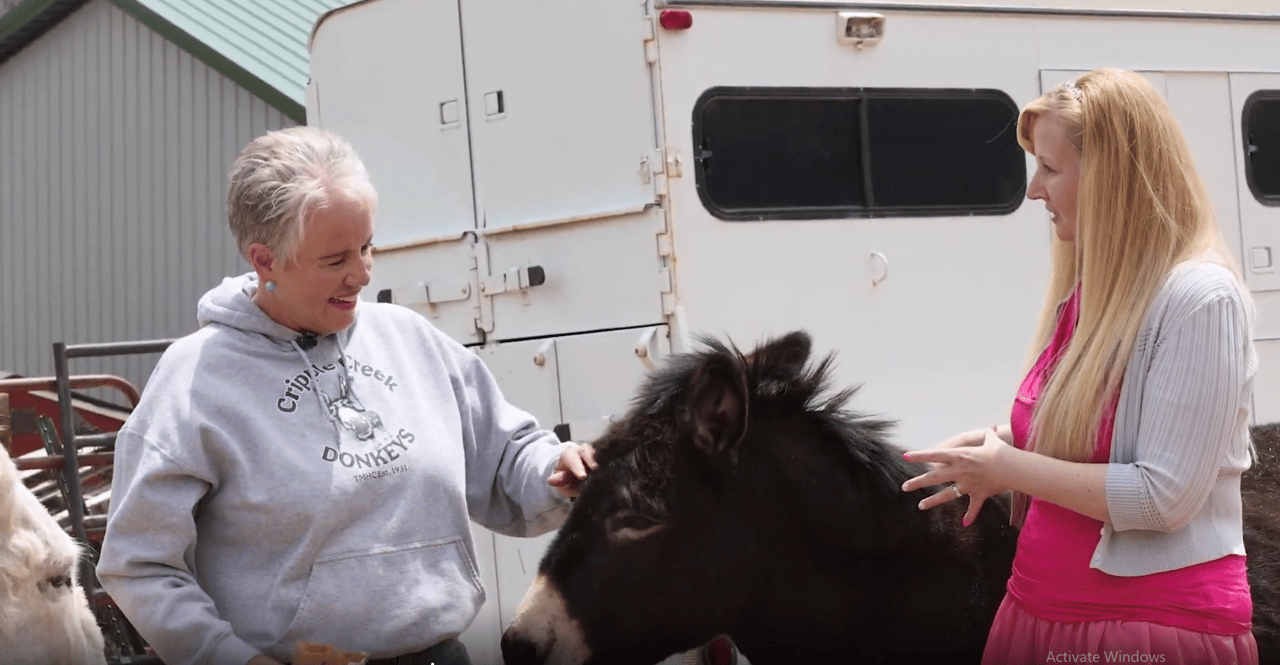 A Colorado Classic: Inside Cripple Creek’s Donkey Derby Days