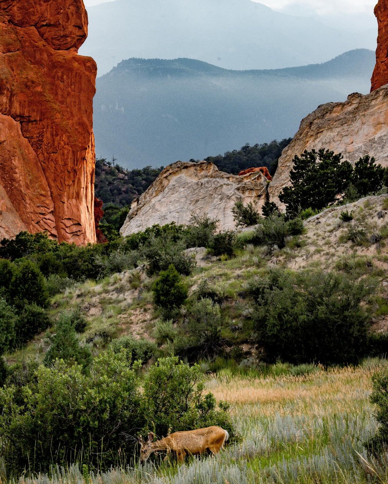 Garden of the Gods: Where Colorado Springs Comes Alive