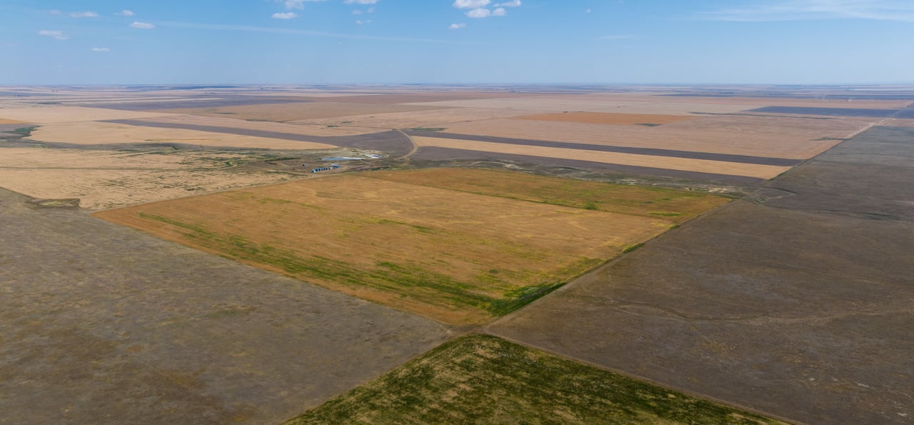 Hill County Organic & CRP Farm