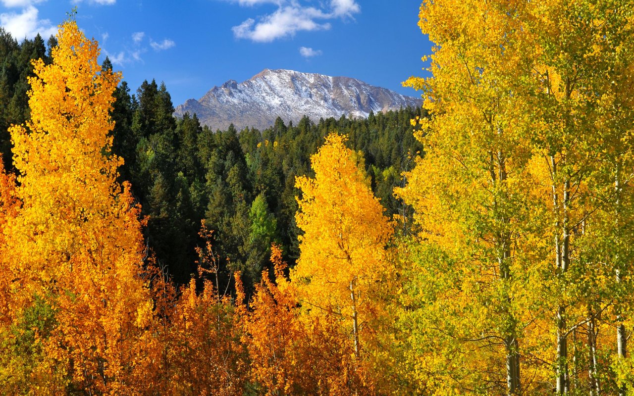 Old Snowmass