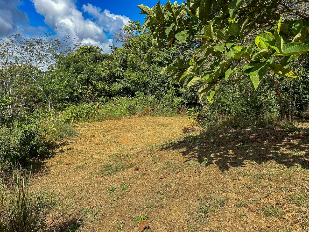 Tinamastes Costa Rica Property with Home, Yoga Deck & Land