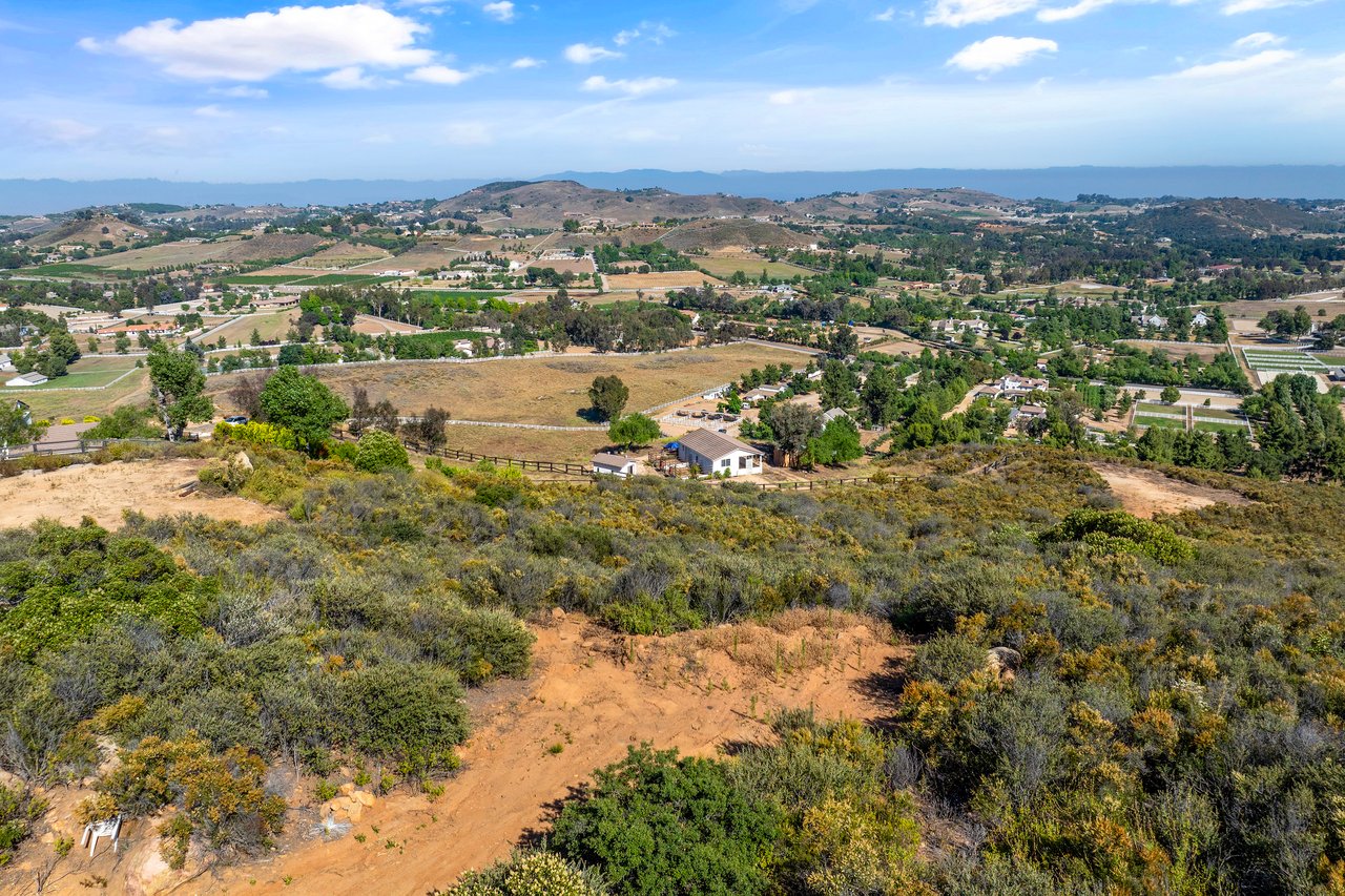 6 Vista del Bosque