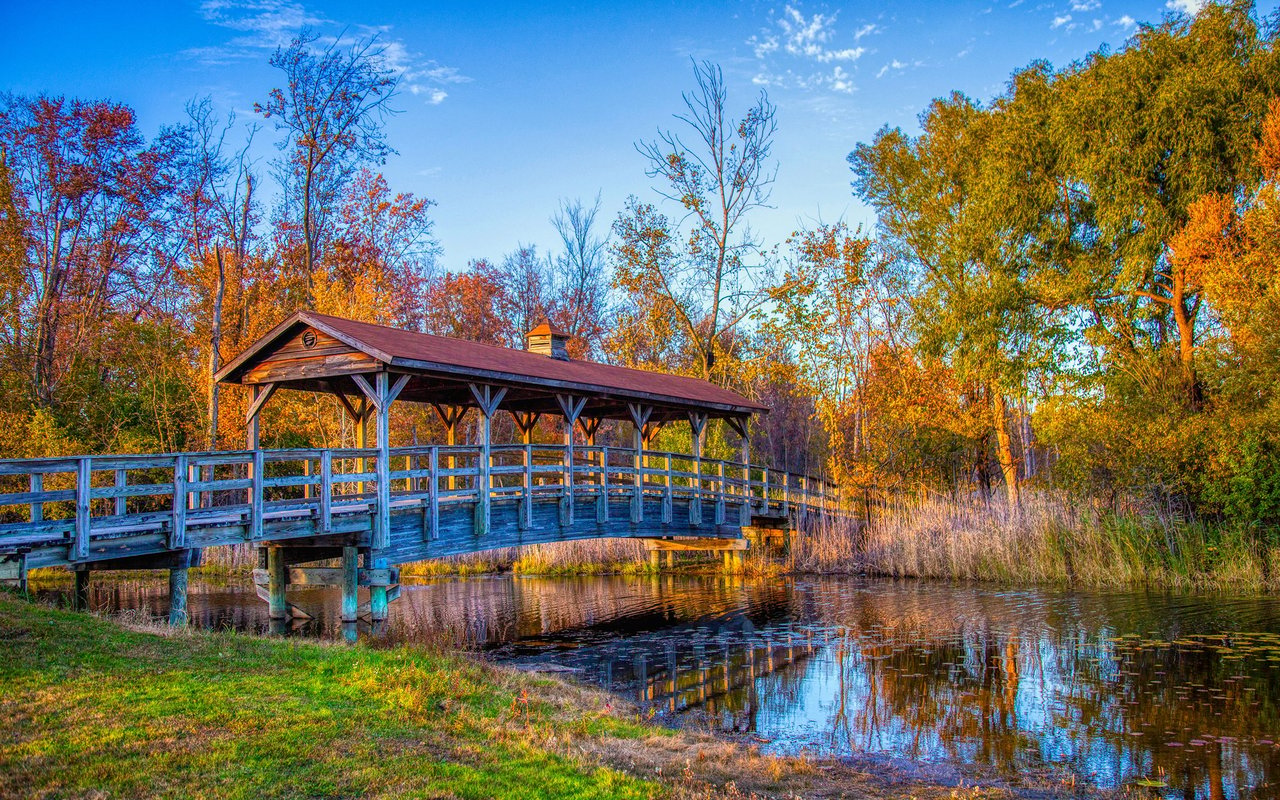 Commerce Township
