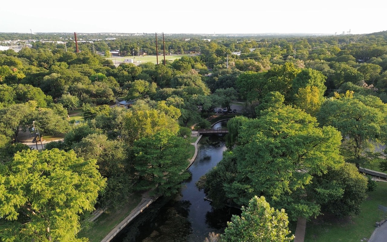 Gruene
