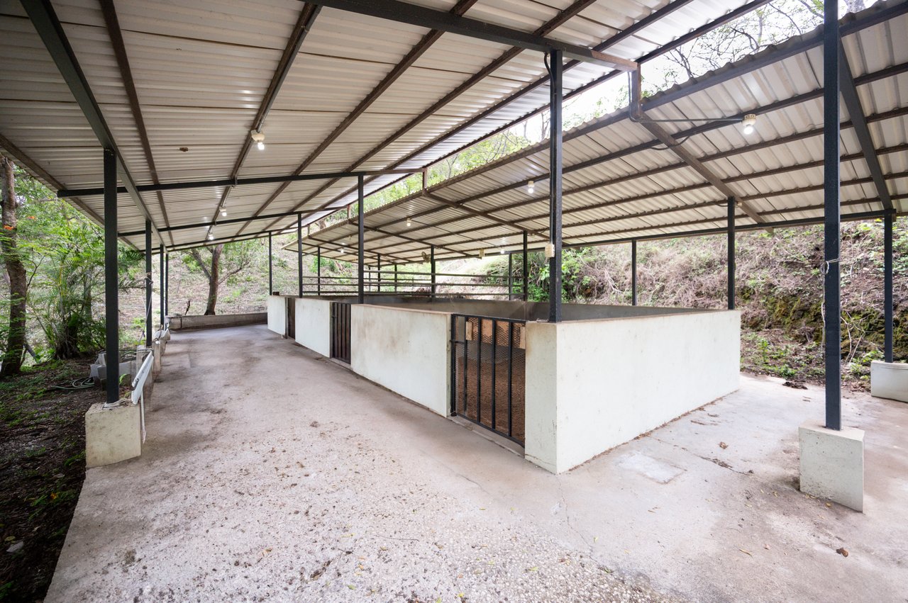 Horse Stables and Lot - Rancho Cartagena 