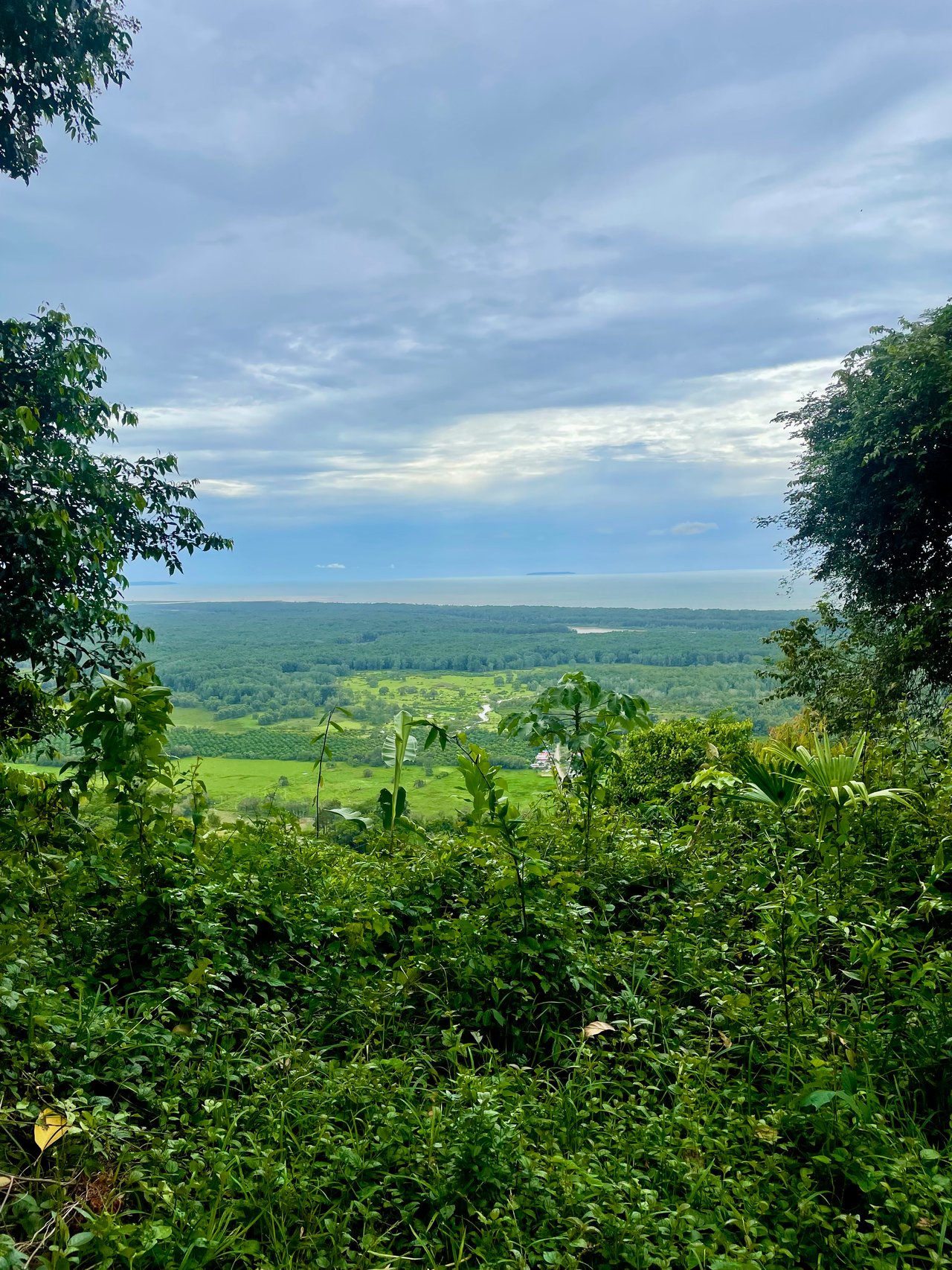 TROPICAL MASTERPIECE – 61.78 ACRES OF OCEANVIEW BLISS WITH WATERFALL