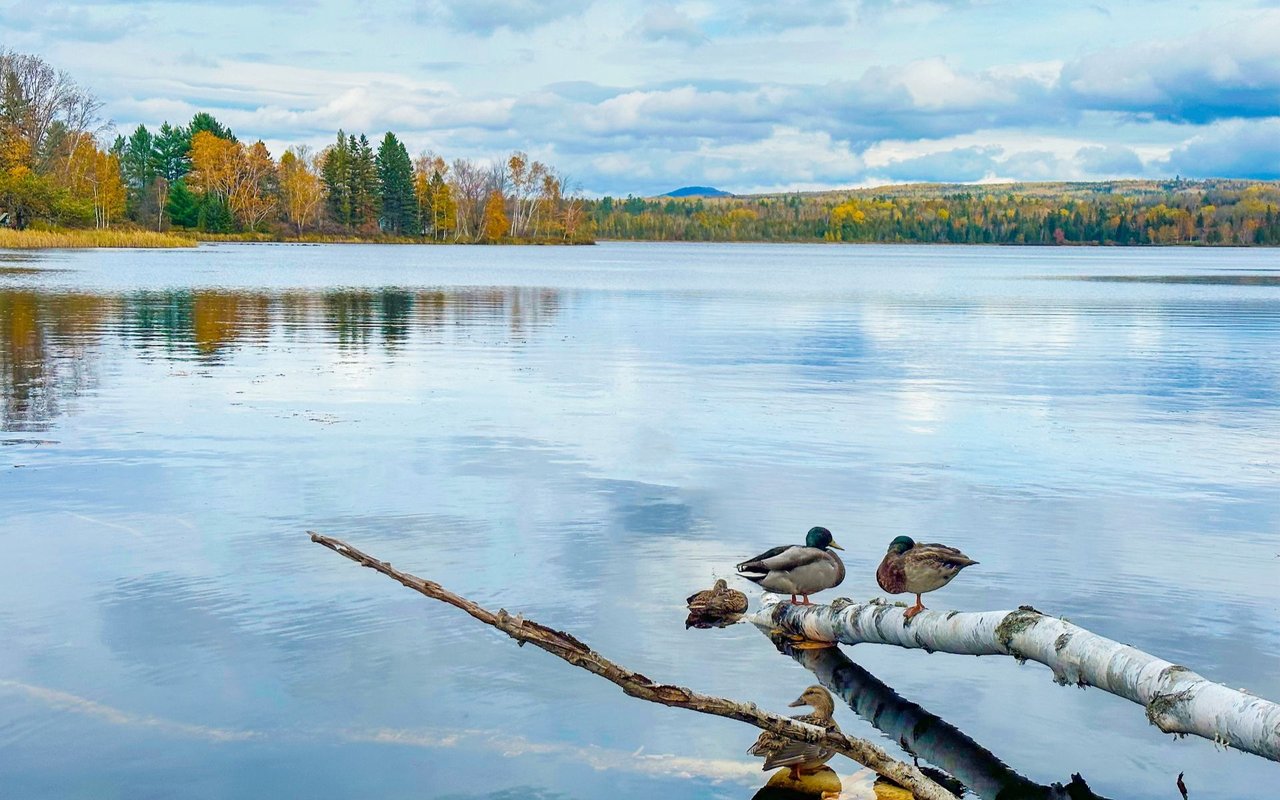 Sebago Lakes Region