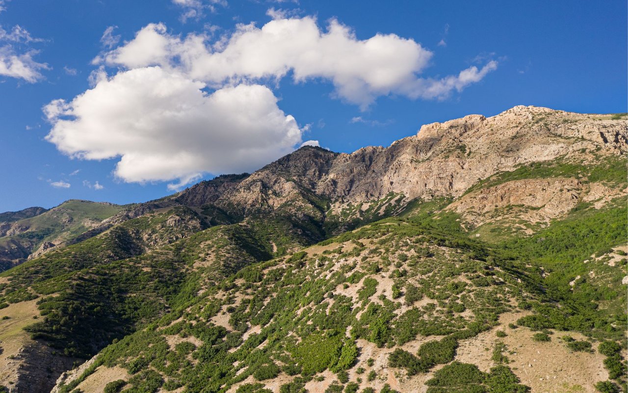 North Ogden