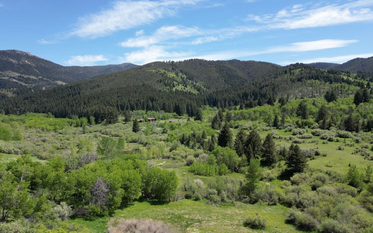 Bridger Canyon