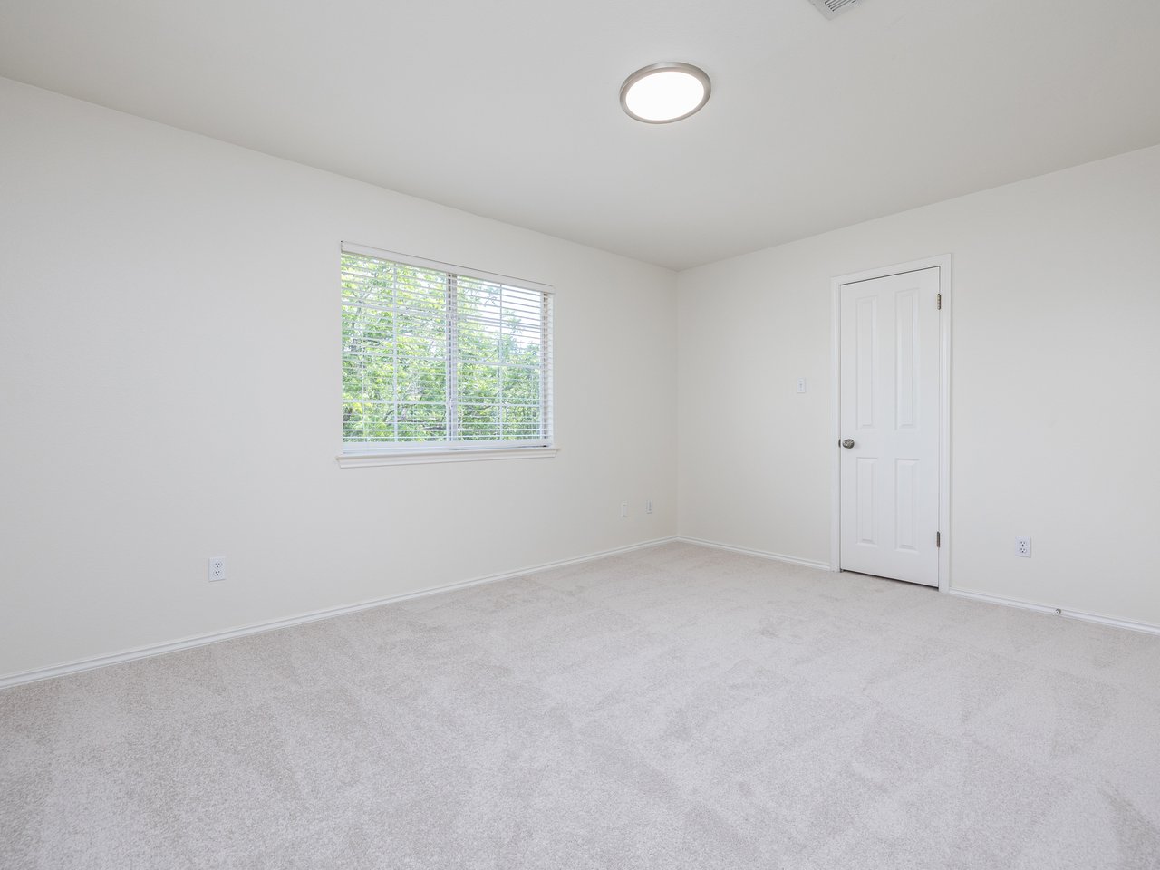 Rare Greenbelt Gem in Steiner Ranch with Major Upgrades