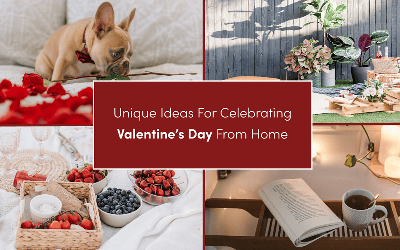 Valentine’s Day at-home ideas: dog with roses, patio garden, picnic spread, book and tea.