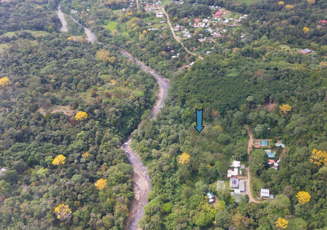 Bamboo Forest Estates – Prime Lots for Sale in Uvita, Costa Rica | Riverfront Land with Utilities
