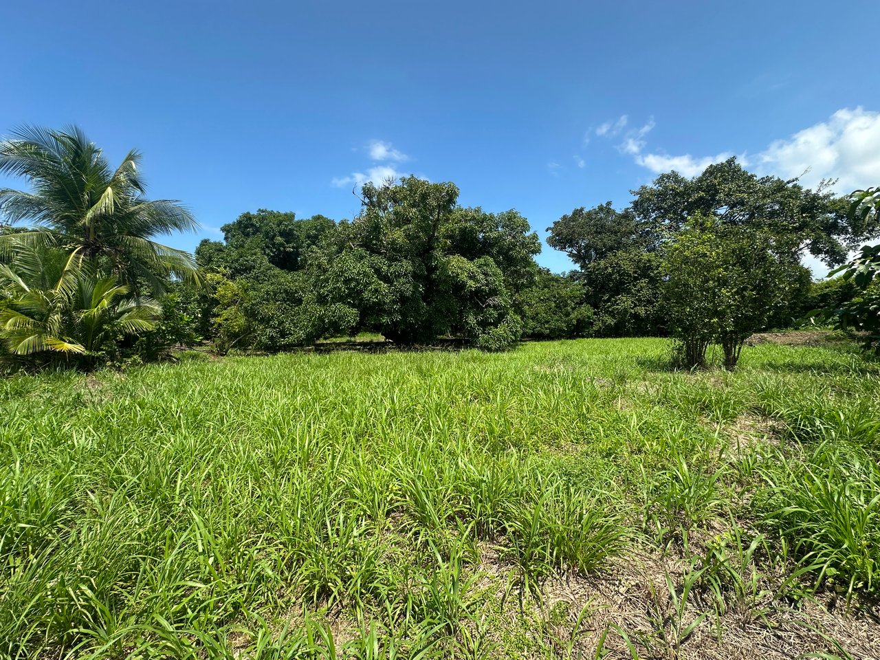 Prime Investment Property with Highway Frontage & Segregation Potential