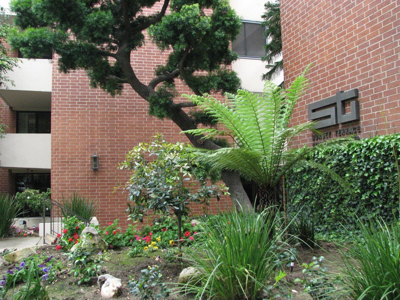 11750 W Sunset Blvd Unit 313