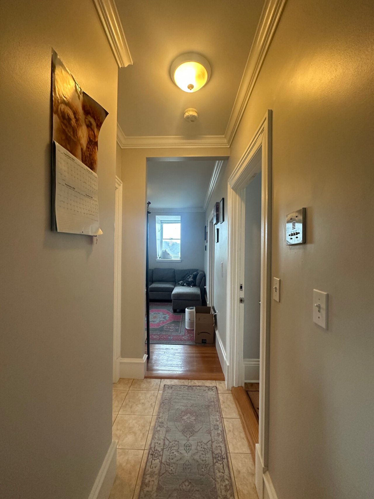 33 Bigelow St #3