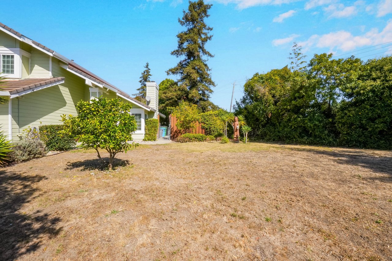 Backyard with a broad dry lawn, mature trees, shrubs, and the side of a light green house.