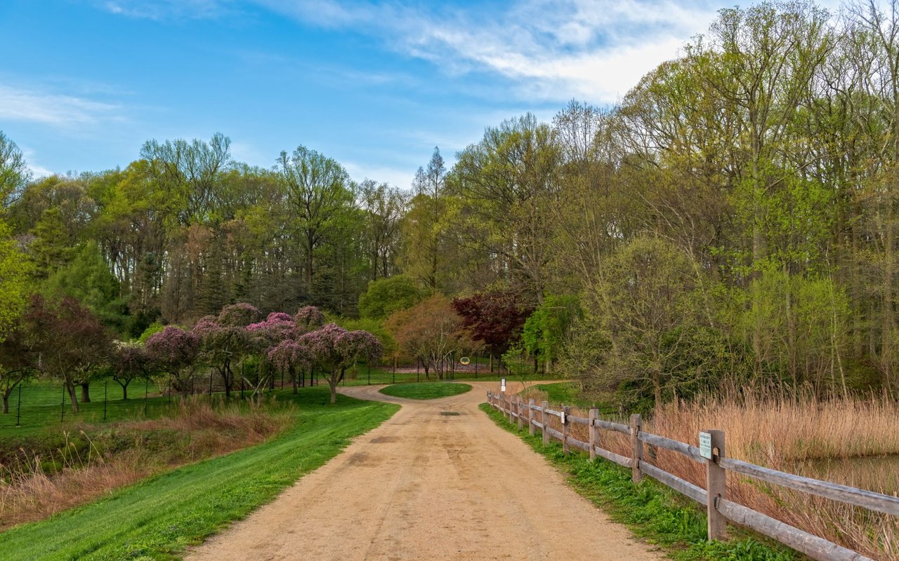 Colts Neck