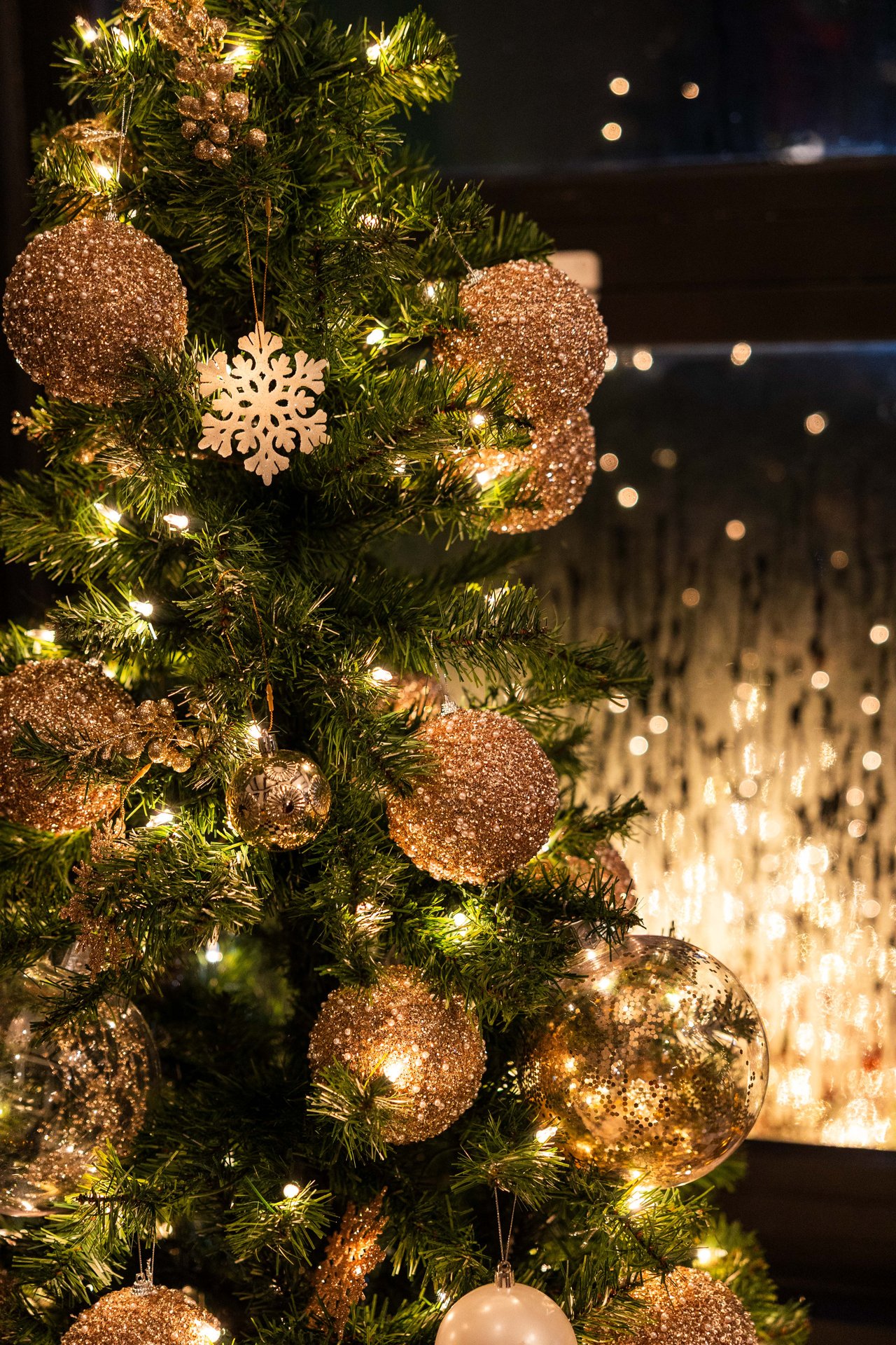 FARSMAS 2025: Rain, Resilience & Holiday Magic in Seminole Heights