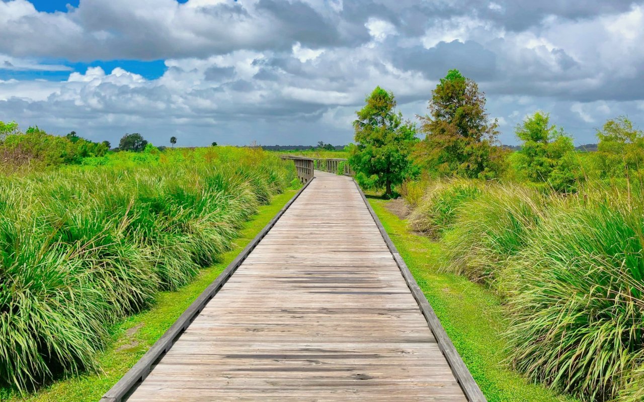 Wooden boardwalk winds through tall grasses beneath a cloudy blue sky.