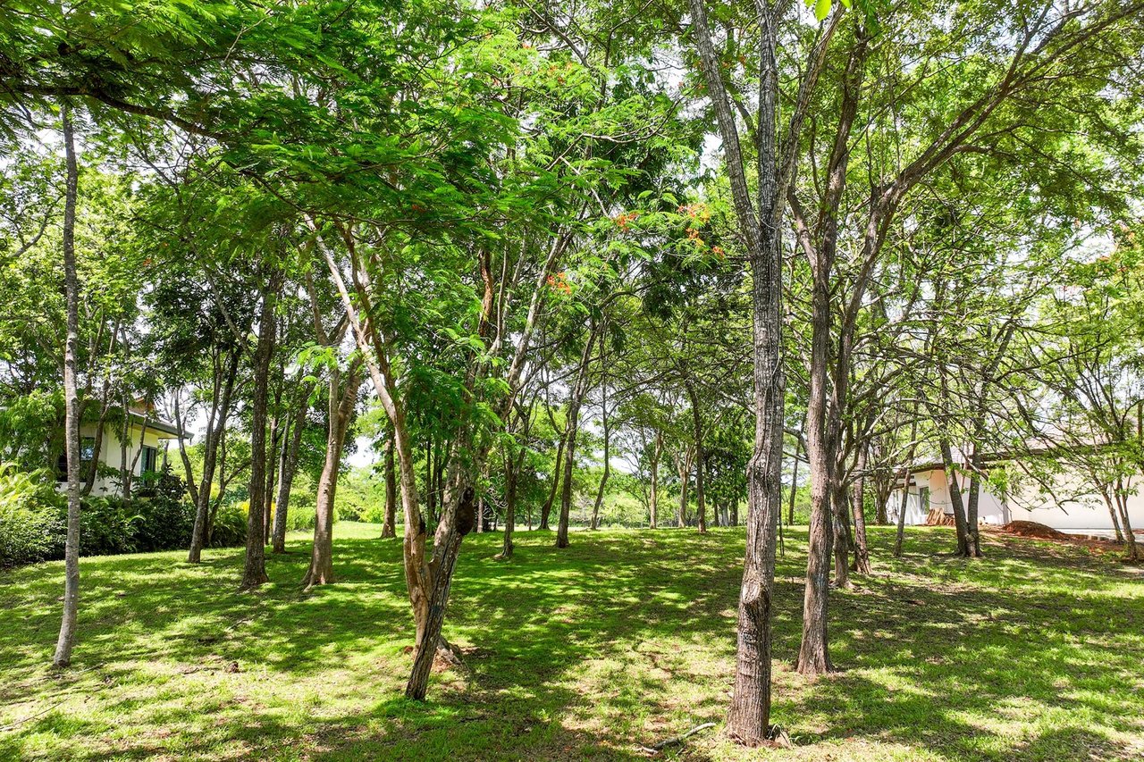 Rare Golf Front Estate Parcel | No HOA | 5,000m² in Hacienda Pinilla
