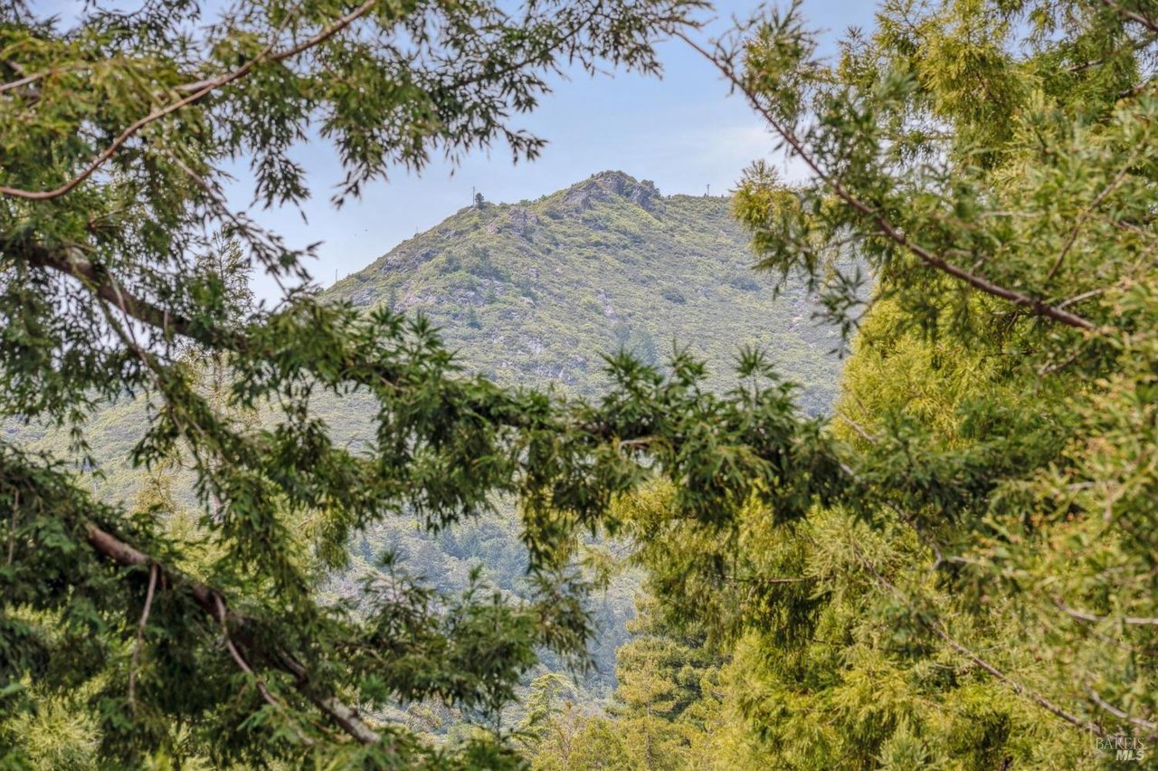 Stylish Mill Valley