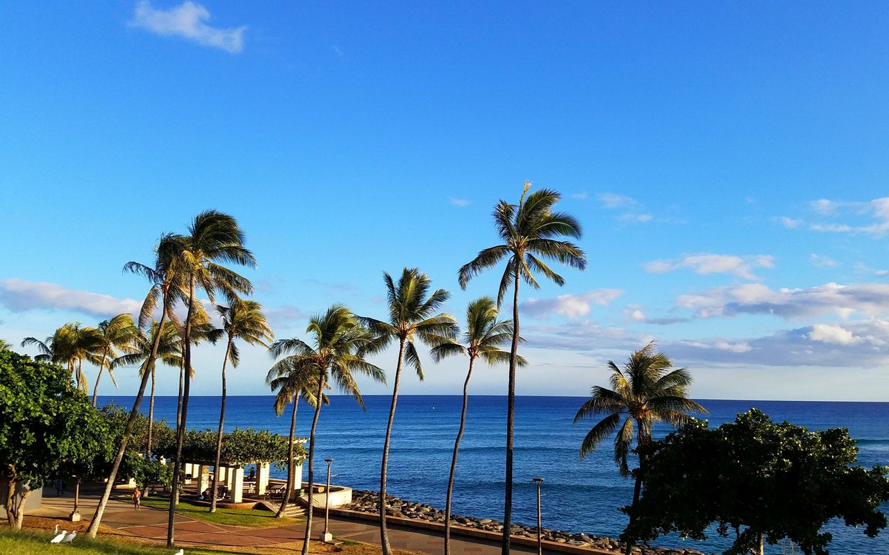 Kakaako