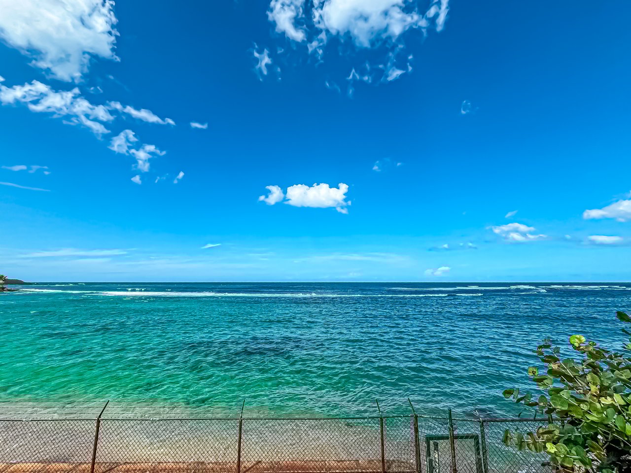 Dorado Reef C10