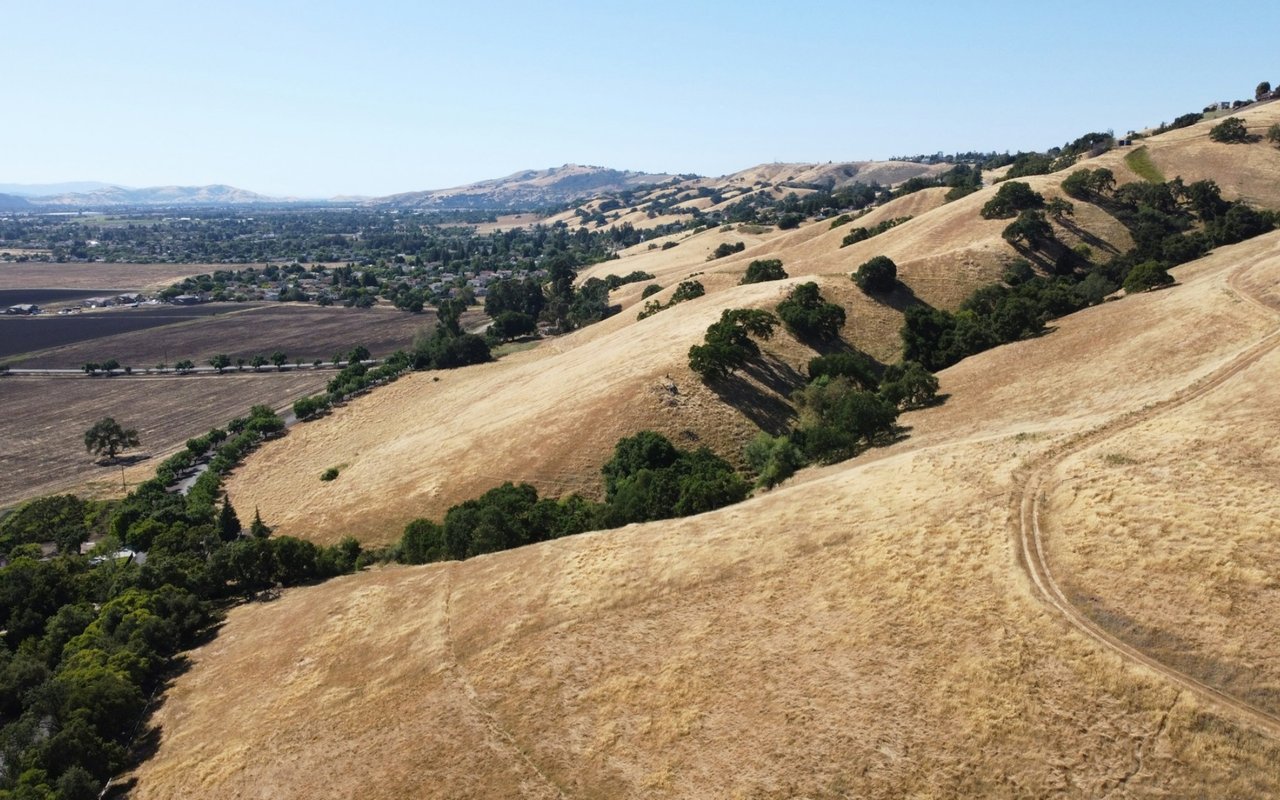 Morgan Hill