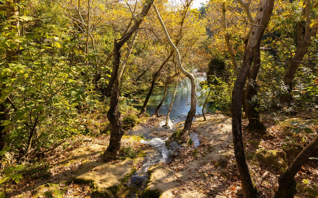 Roaringcreek Township
