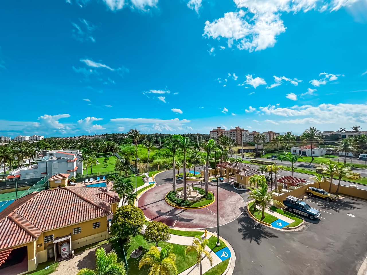 Royal Palm B-502