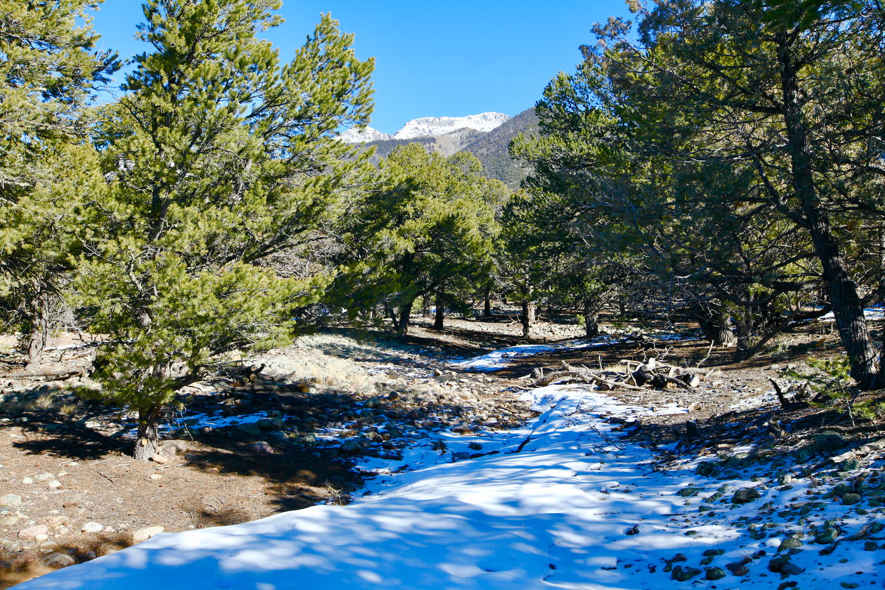 Condor Overlook Homesite