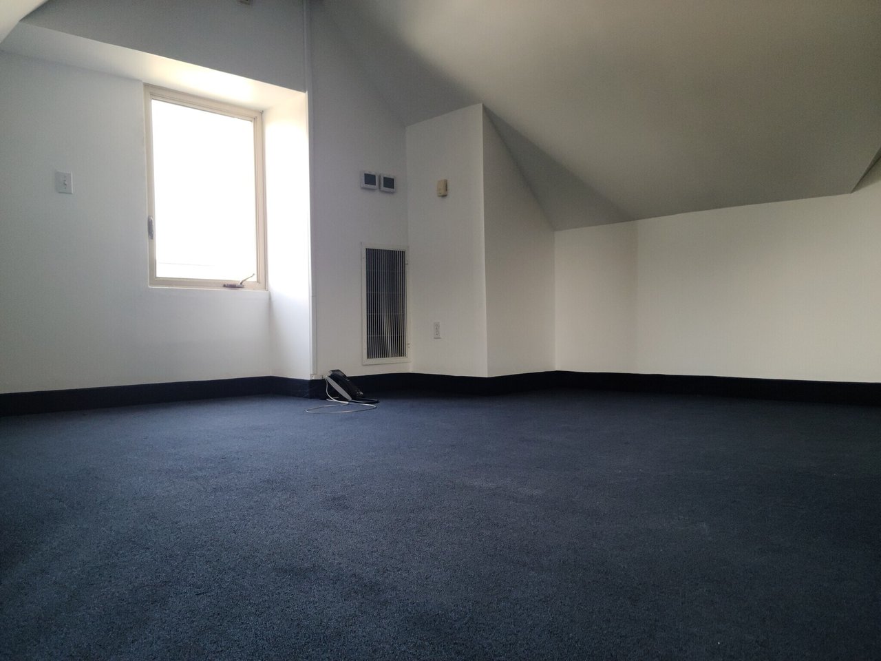 221 Mineola Blvd