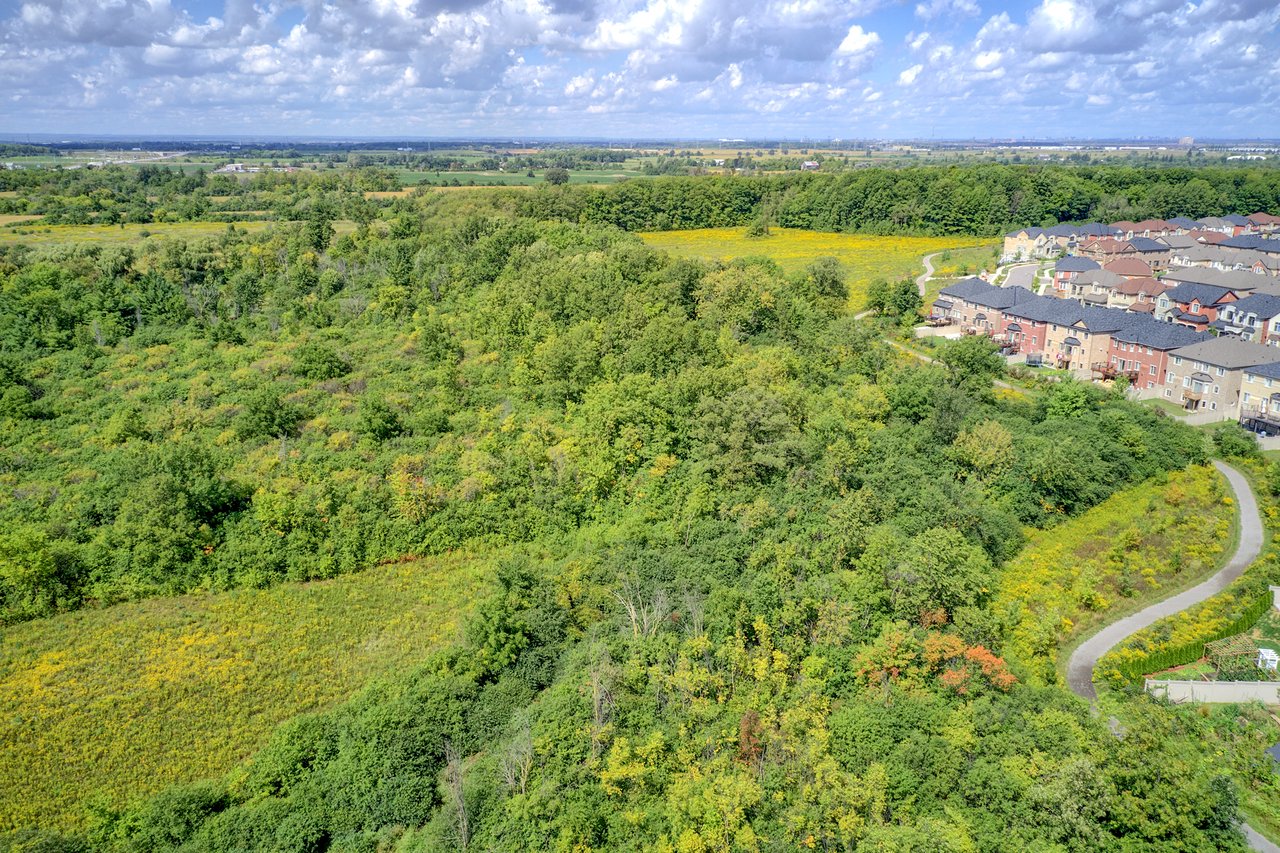 Joshua Meadows image 5