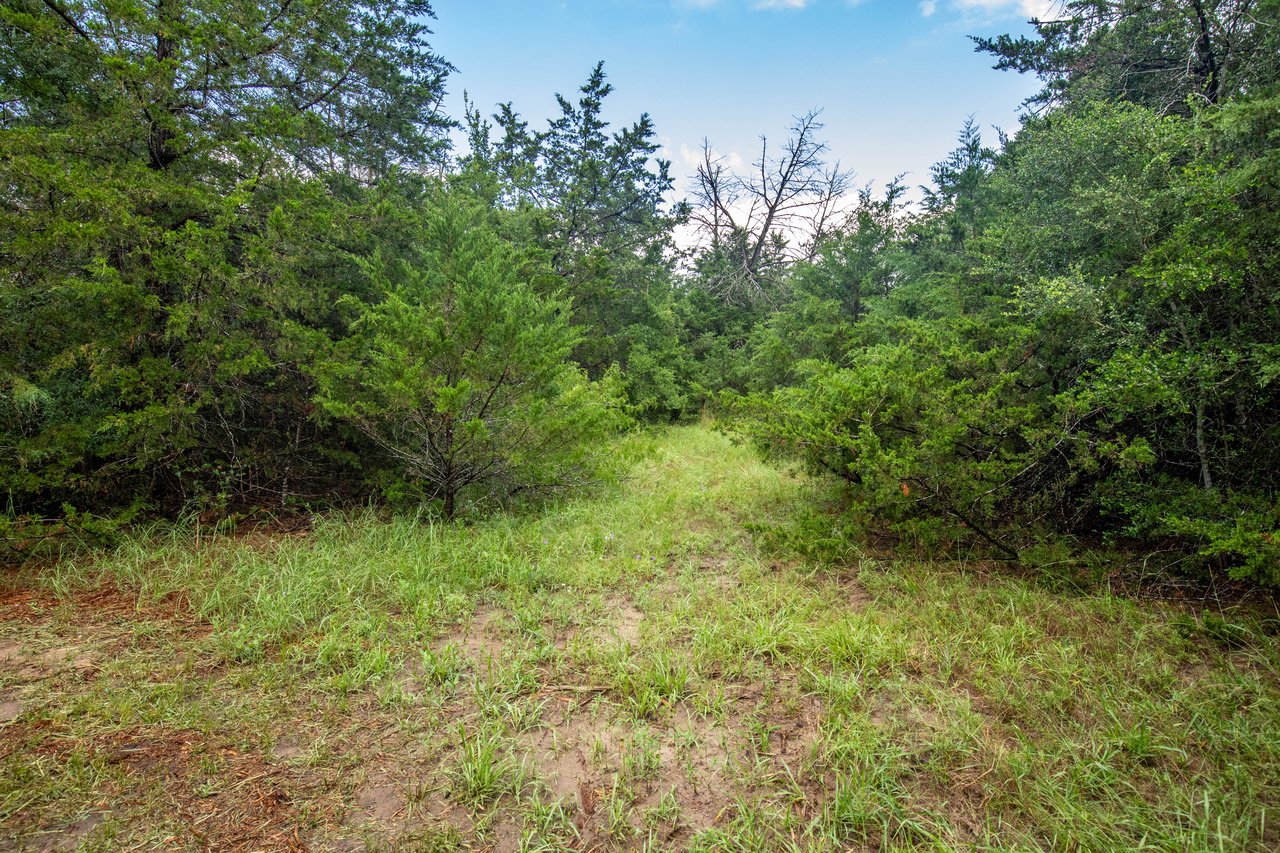 Post Oak Preserve | 18.115 ± Acres | Fayette County