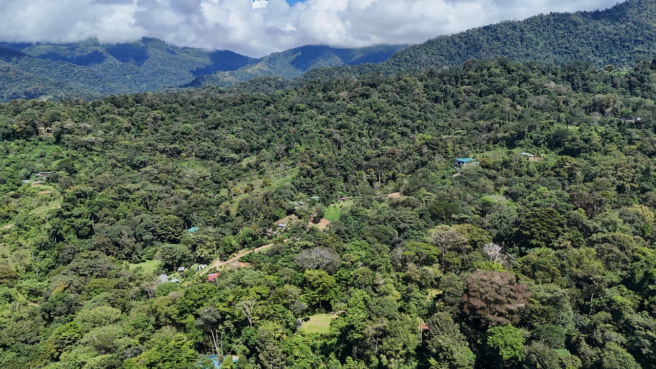 1.7 Acres Ocean View Lot with Producing Cabin in Uvita