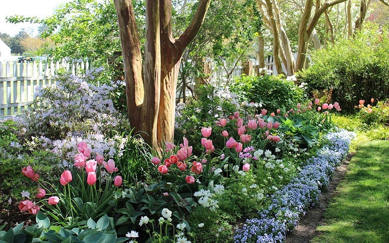 Top April Events around the DMV
