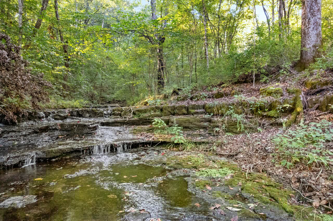 8192 Shoals Branch Road