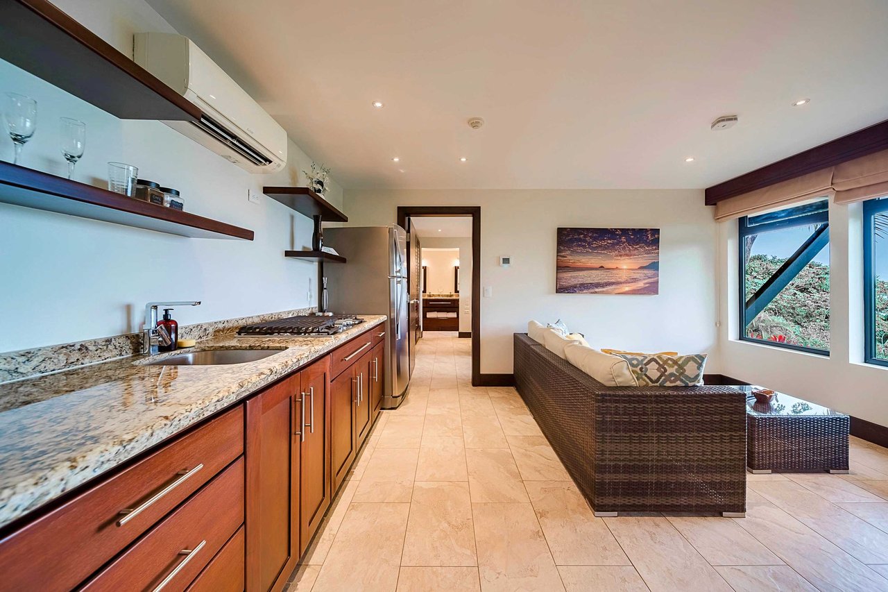 Walk to beach Vista Hermosa Estate Lucrative Contemporary Estate