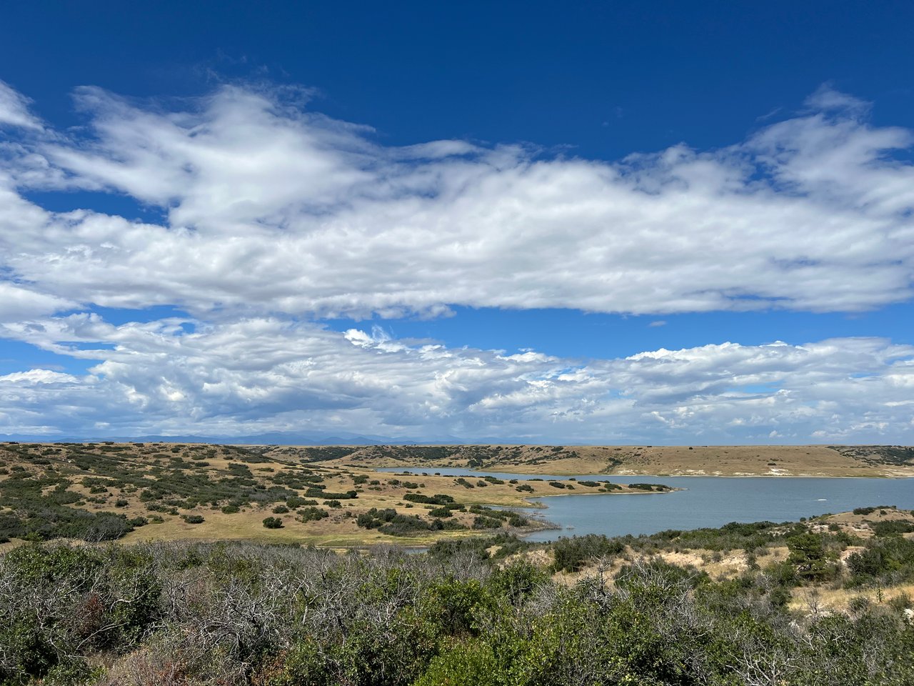 7783 Lemon Gulch Way