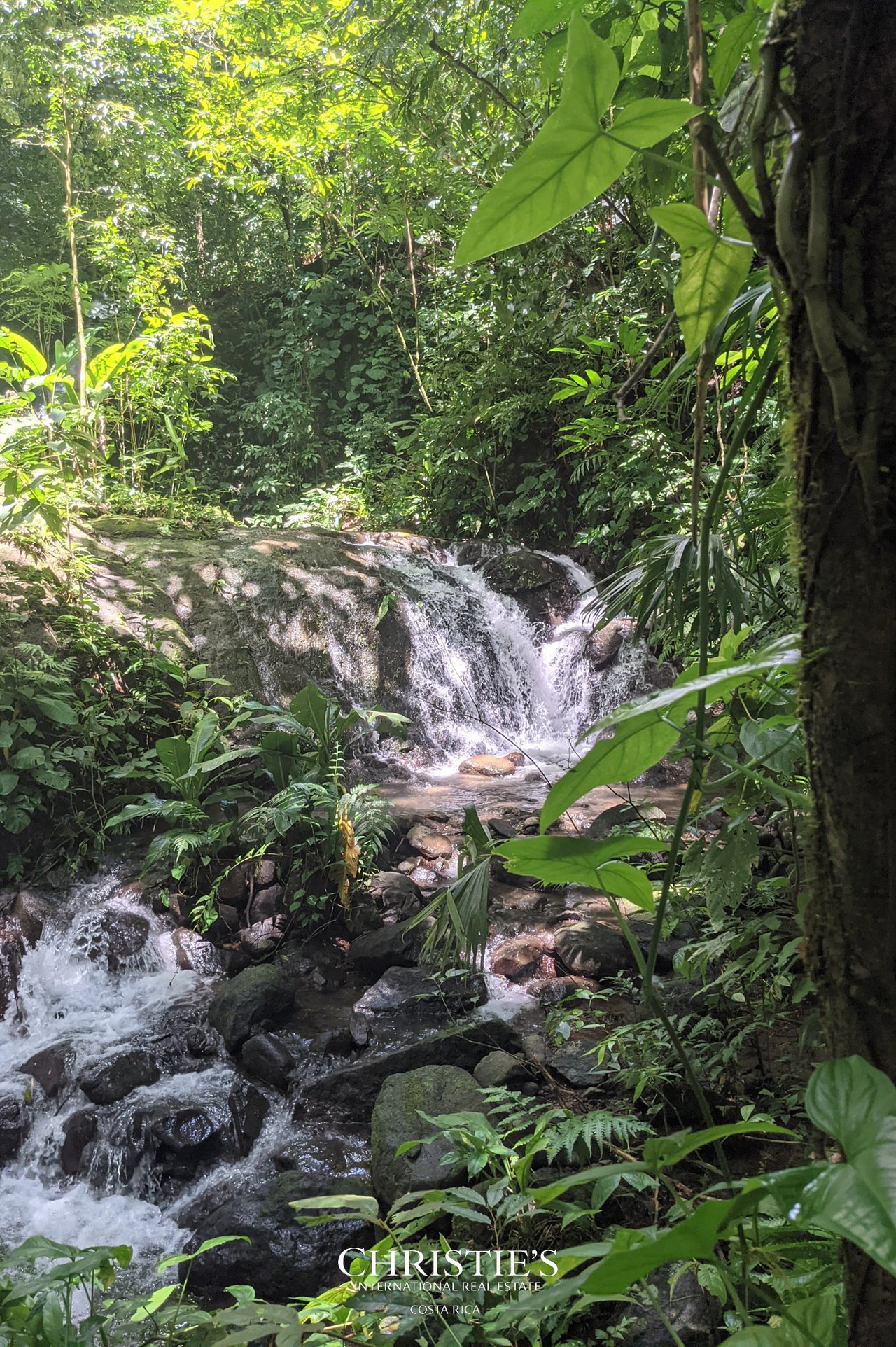 Finca Mar y Posas