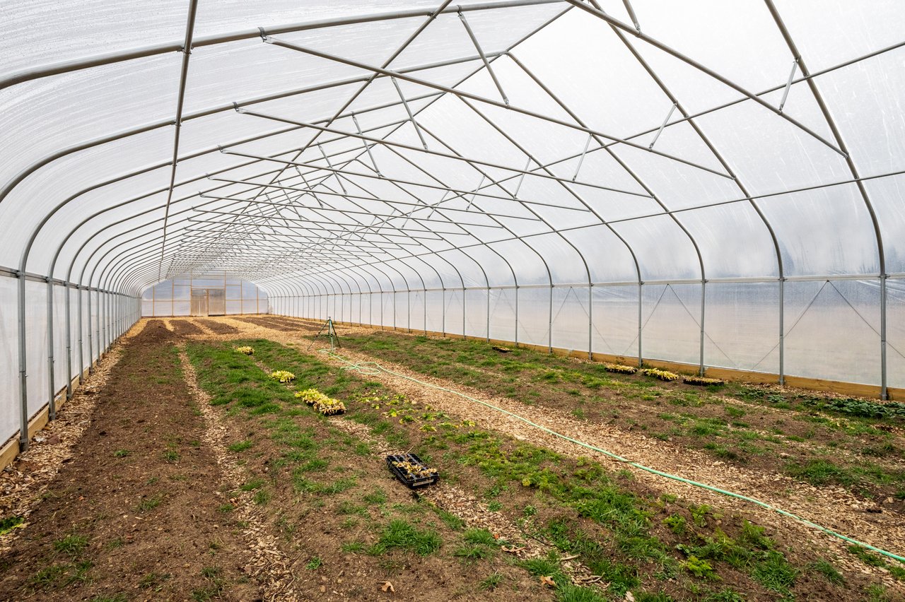 FOR LEASE: 40-Acre Agricultural Farmland (Hemp approved)