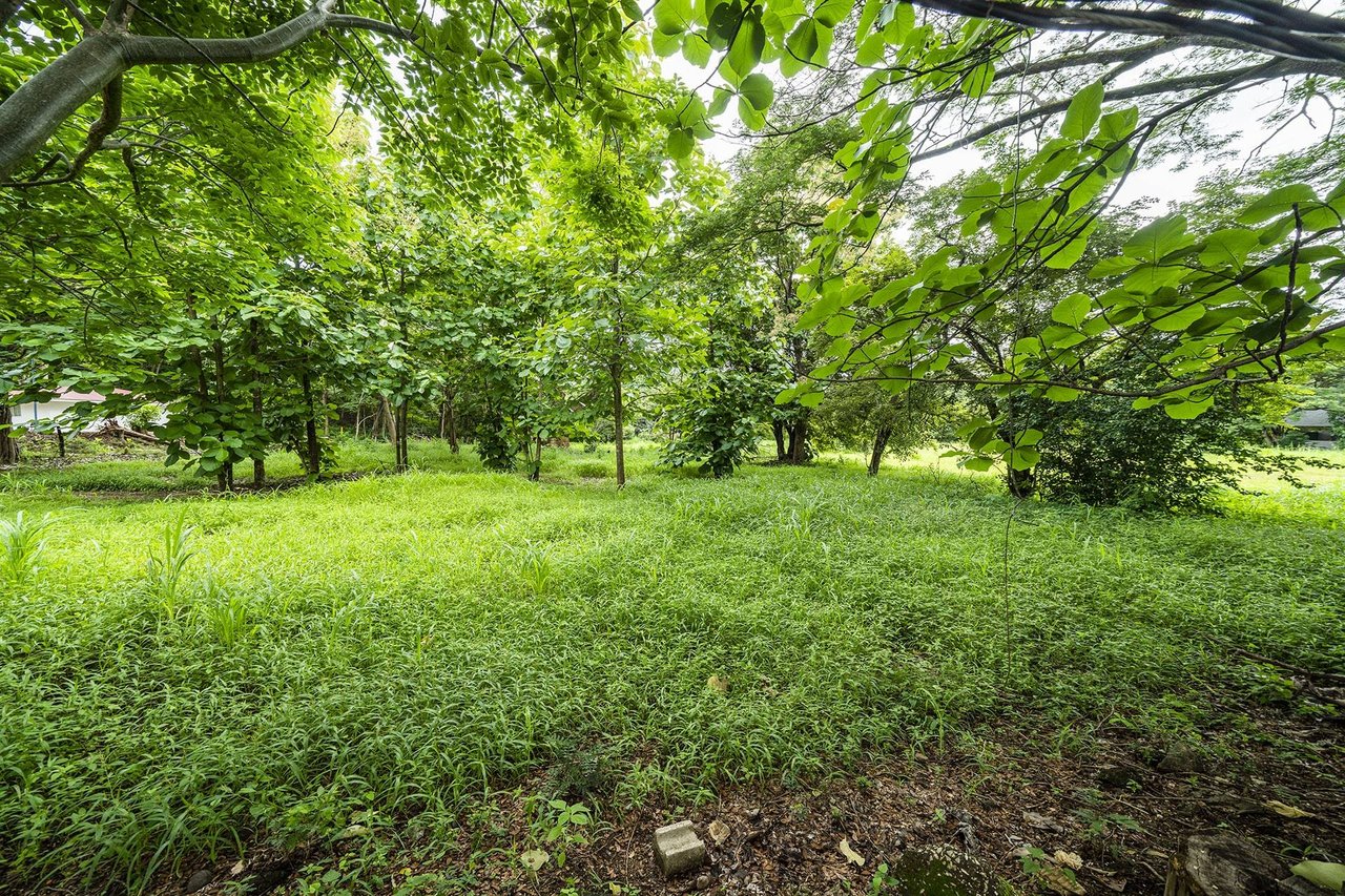 Flamingo 2.8 Hectare Parcel Playa Flamingo